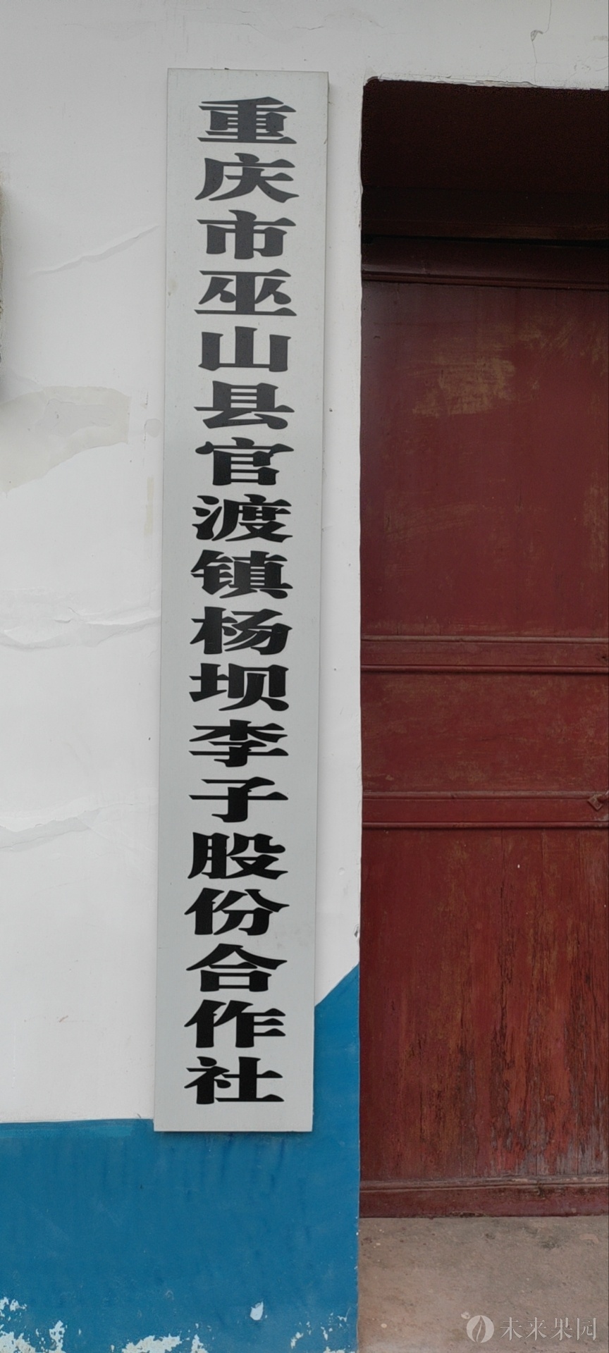 重庆市巫山县官渡镇杨坝李子股份合作社