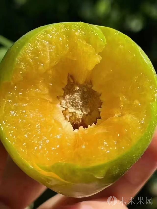 自家果园使用绿色食品的，和有机食品的要求，欢迎大家来咨询，大果包邮