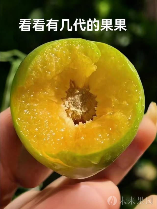 使用农家肥，能打到绿色食品要求，健康食品，五斤起发包邮实惠装