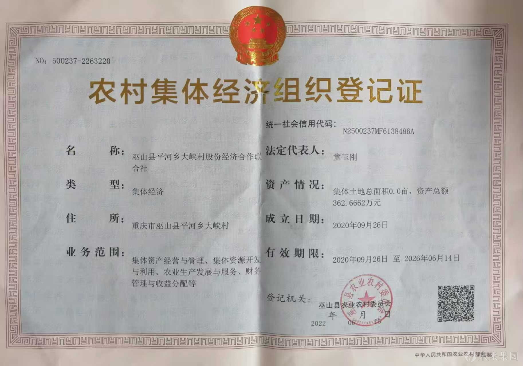 巫山县平河乡大峡村股份经济合作联合社