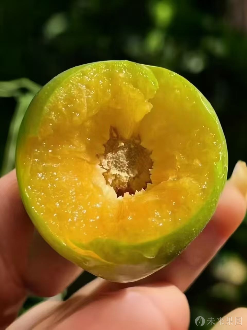 自家果园使用绿色食品和有机食品的要求，欢迎大家来咨询，全国包邮，从80到120一件