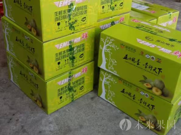 5斤特大果家庭特惠尝鲜装