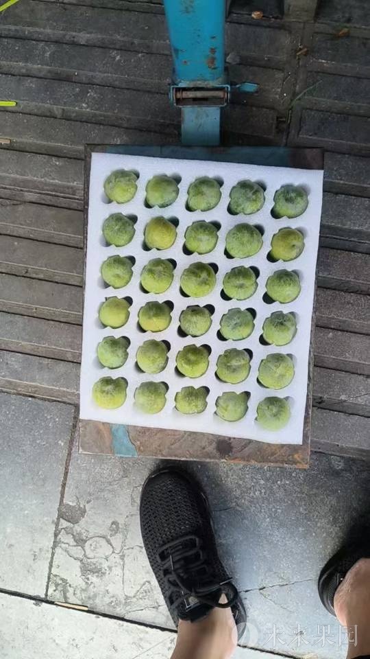 黄心中熟，一件起发，5斤装，10斤装，顺丰京东空运包邮港澳台偏远地区补运费差价，本公司承诺24小时内发货
