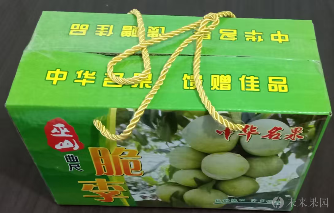 5斤装特大果巫山脆李（黄心巫杨李）尝鲜装产地直供