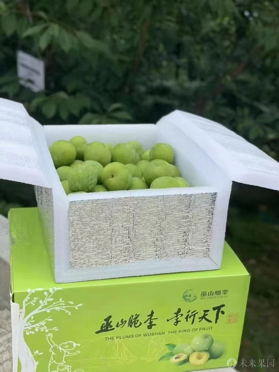 尝鲜价