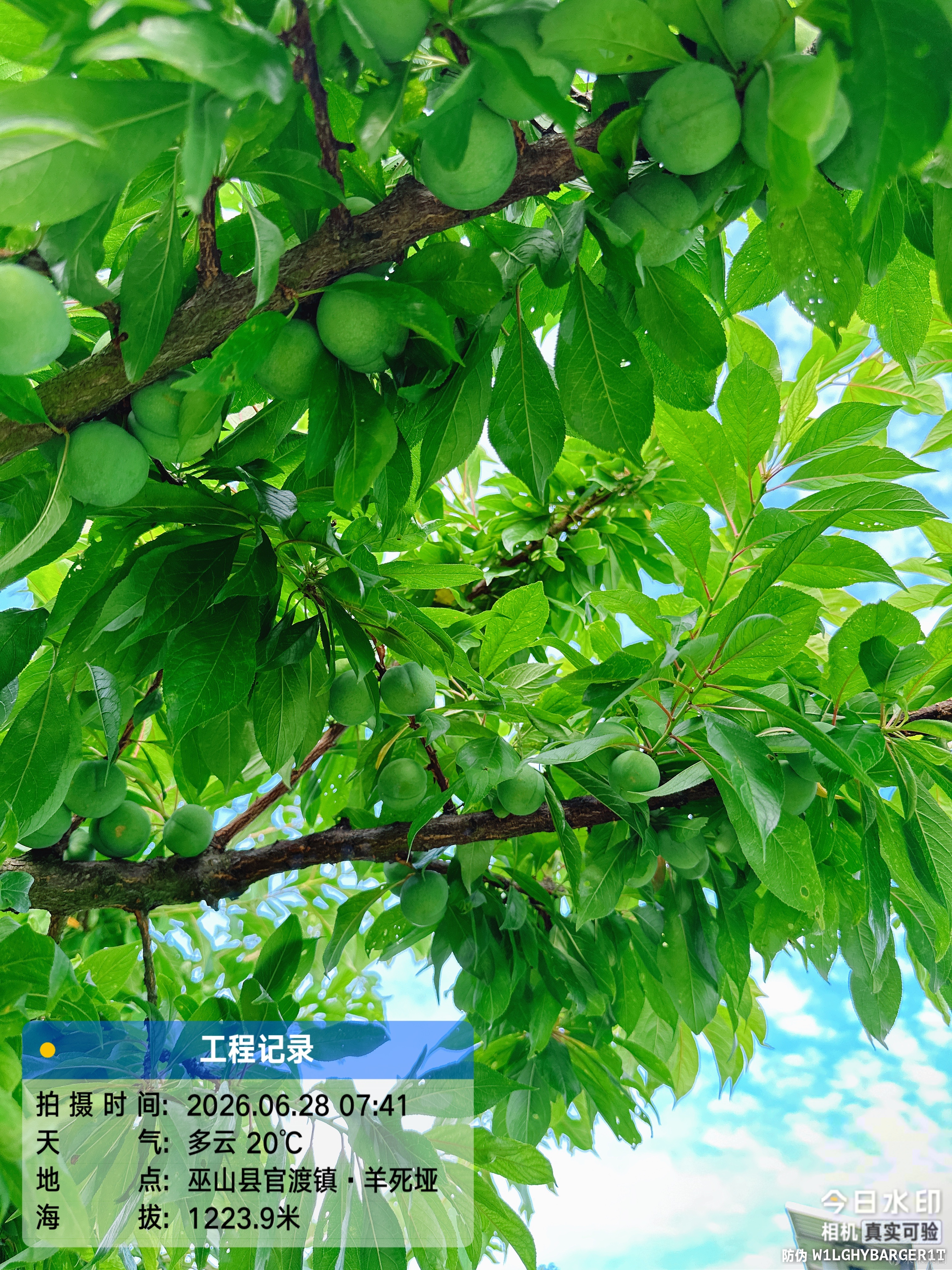 好吃