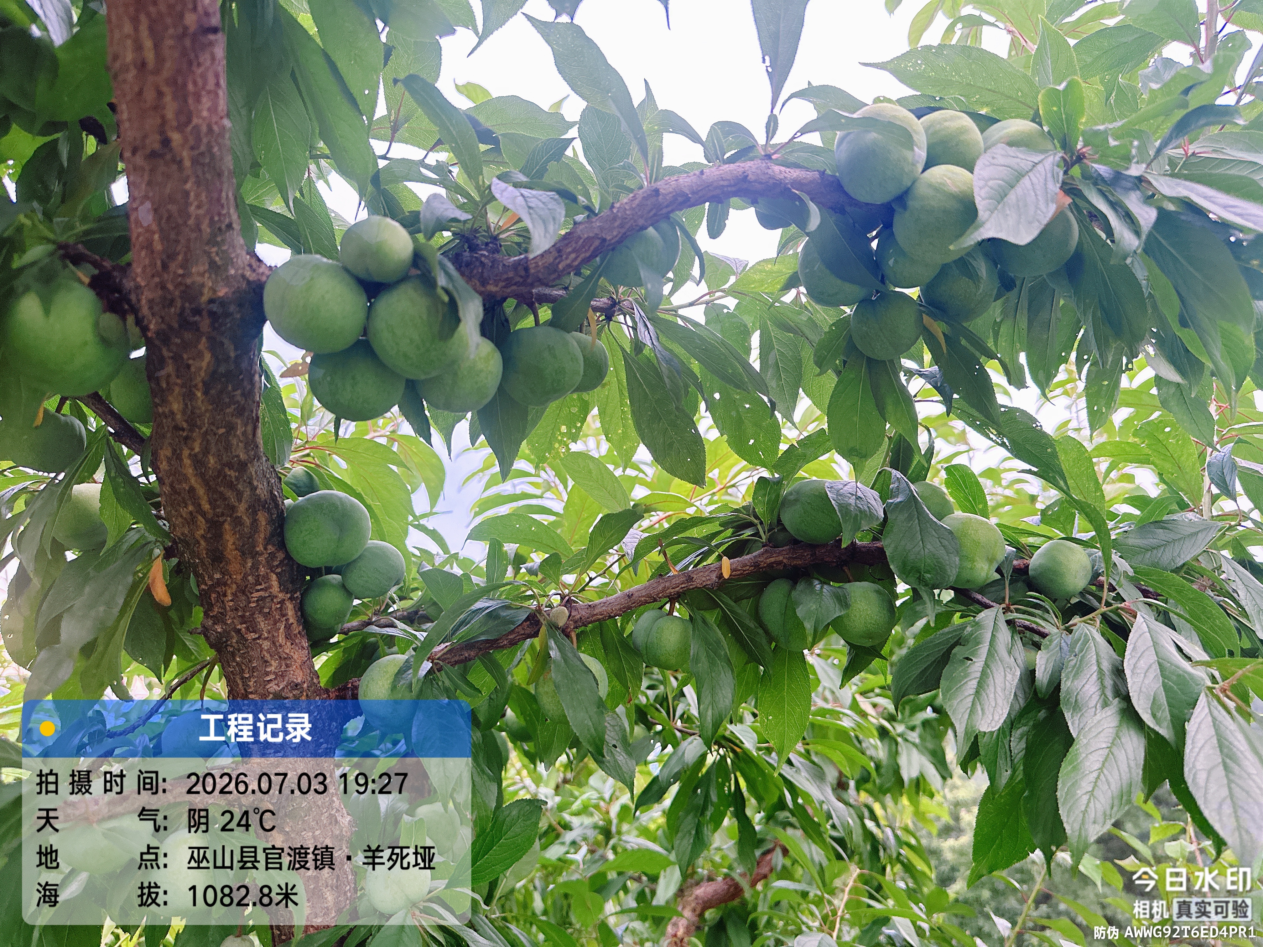 好吃
